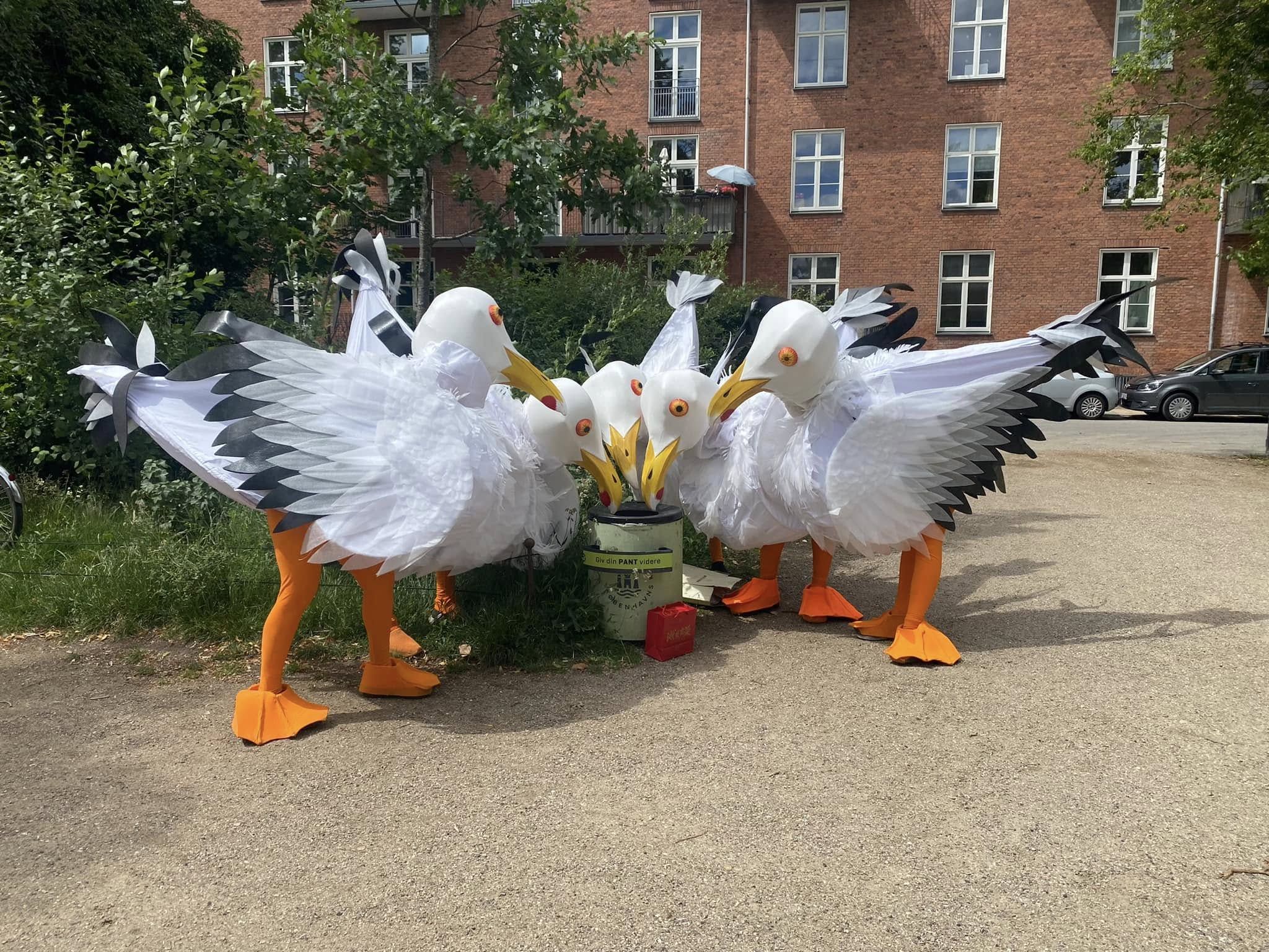  Virak - Seagulls - Aalborg / Denmark